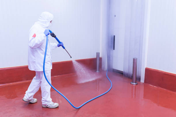 Best Concrete Sealing  in Murillo, TX