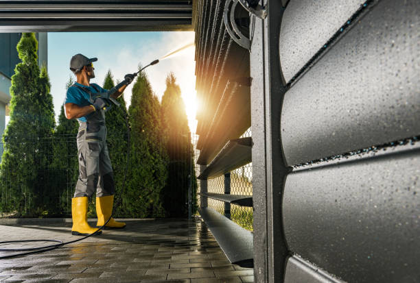Best Solar Panel Cleaning  in Murillo, TX